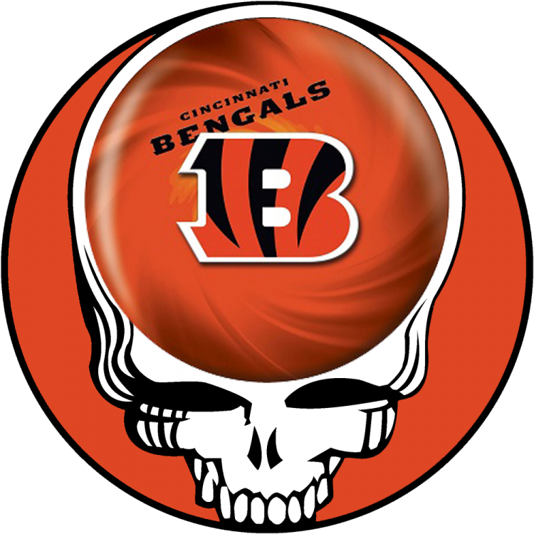 Cincinnati Bengals skull logo DIY iron on transfer (heat transfer)